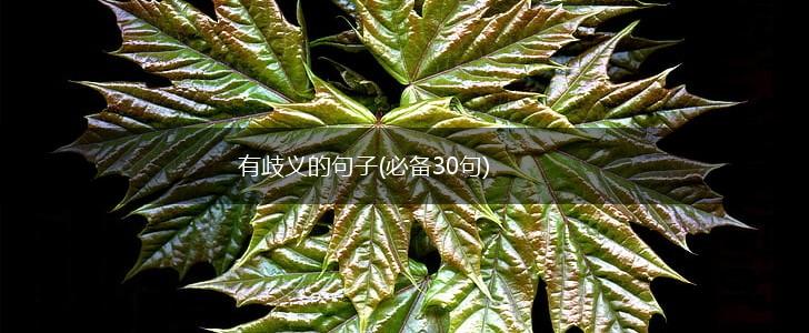 有歧义的句子(必备30句),第1张