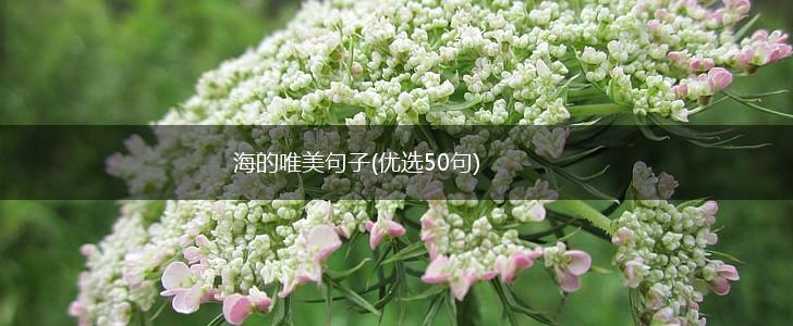 海的唯美句子(优选50句),第1张