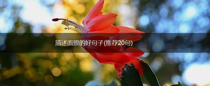 描述面膜的好句子(推荐20句),第1张