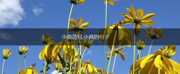 小商造句,小商的句子,第1张 小商造句,小商的句子,第1张