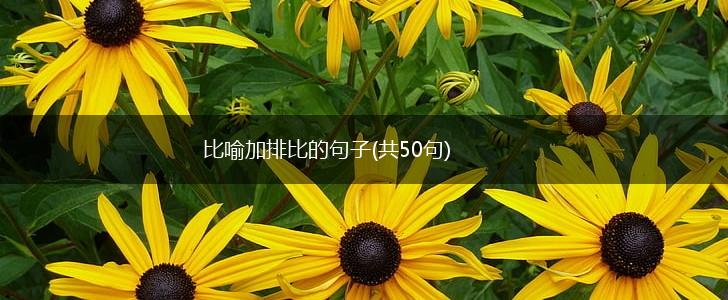 比喻加排比的句子(共50句),第1张