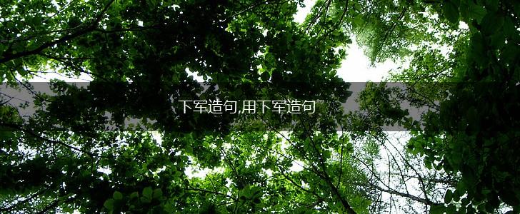 下军造句,用下军造句,第1张 下军造句,用下军造句,第1张
