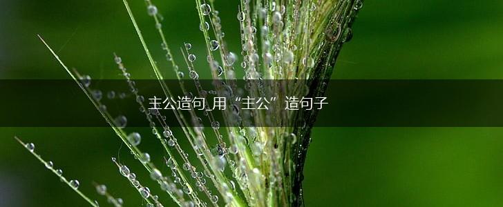 主公造句_用“主公”造句子,第1张 主公造句_用“主公”造句子,第1张