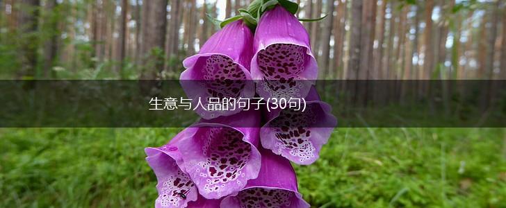 生意与人品的句子(30句),第1张