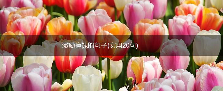 激励挣钱的句子(实用20句),第1张