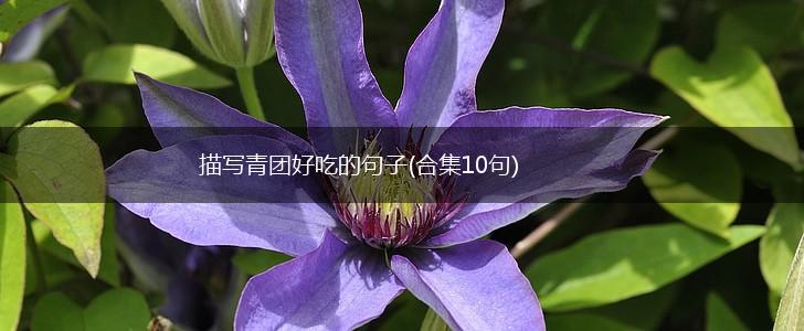 描写青团好吃的句子(合集10句),第1张