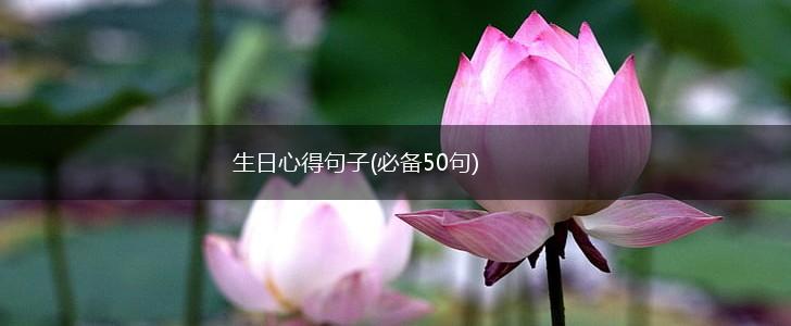生日心得句子(必备50句),第1张