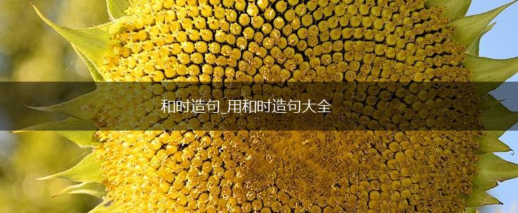 和时造句_用和时造句大全,第1张 和时造句_用和时造句大全,第1张