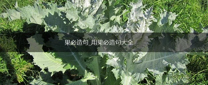 果必造句_用果必造句大全,第1张 果必造句_用果必造句大全,第1张