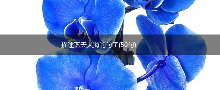 描述蓝天大海的句子(50句),第1张