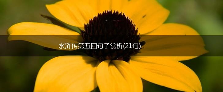 水浒传第五回句子赏析(21句),第1张