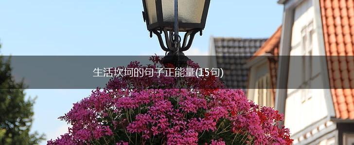 生活坎坷的句子正能量(15句),第1张