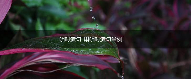 明时造句_用明时造句举例,第1张
