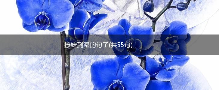 撩妹到湿的句子(共55句),第1张