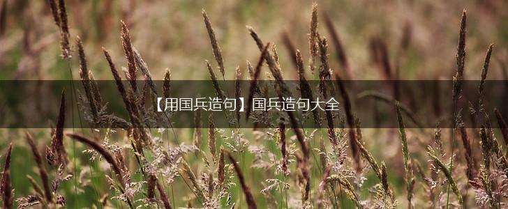 【用国兵造句】国兵造句大全,第1张 【用国兵造句】国兵造句大全,第1张