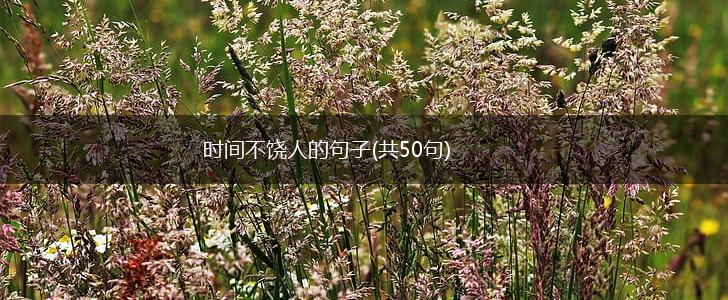 时间不饶人的句子(共50句),第1张