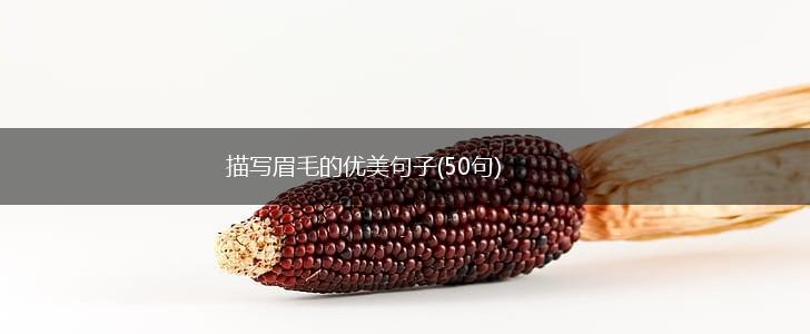 描写眉毛的优美句子(50句),第1张