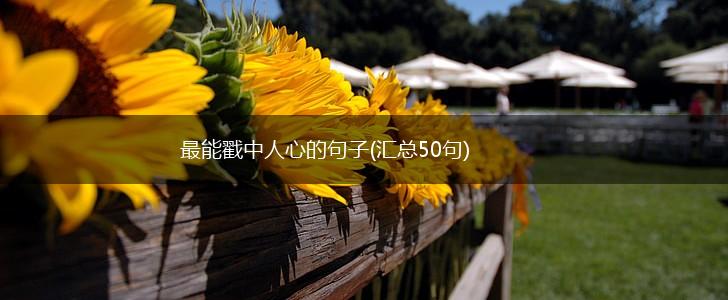 最能戳中人心的句子(汇总50句),第1张