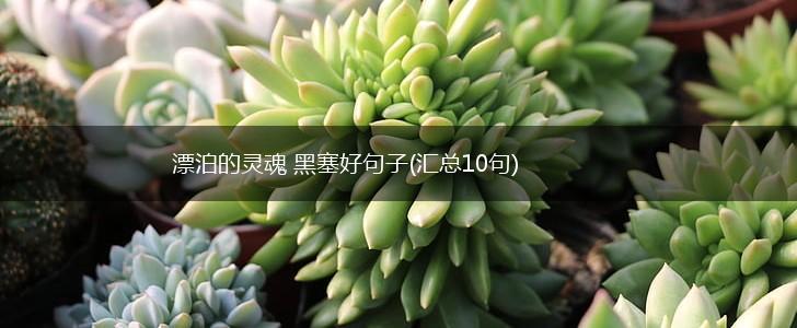 漂泊的灵魂 黑塞好句子(汇总10句),第1张
