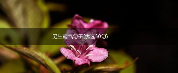 男生霸气句子(优选50句),第1张