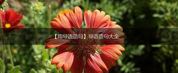 【用导语造句】导语造句大全,第1张