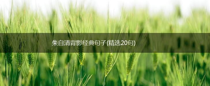 朱自清背影经典句子(精选20句),第1张