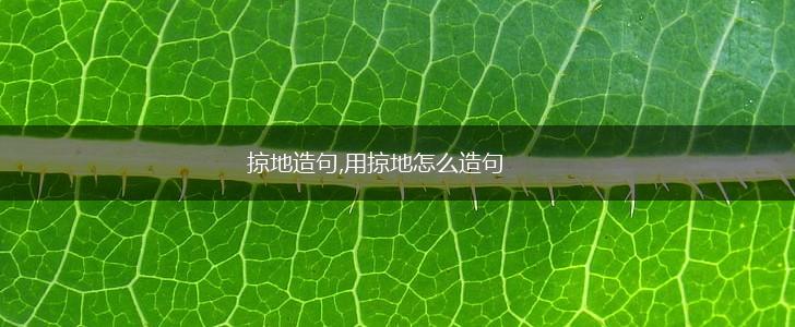 掠地造句,用掠地怎么造句,第1张 掠地造句,用掠地怎么造句,第1张