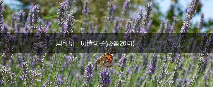 用可见一斑造句子(必备20句),第1张