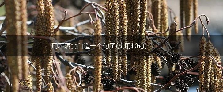 用不落窠臼造一个句子(实用10句),第1张