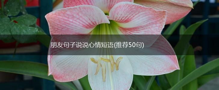 朋友句子说说心情短语(推荐50句),第1张