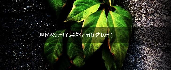 现代汉语句子层次分析(优选10句),第1张