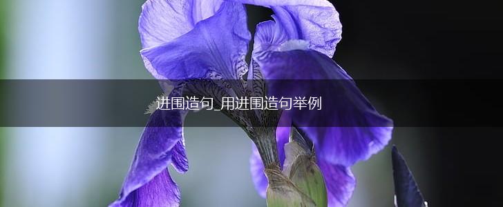 进围造句_用进围造句举例,第1张