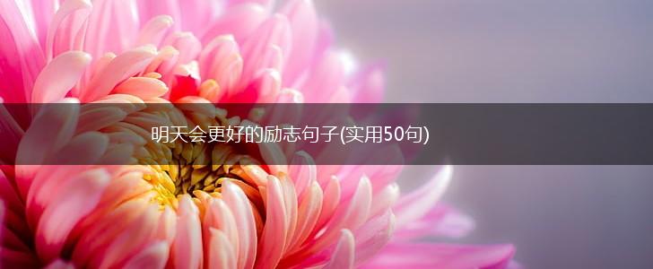 明天会更好的励志句子(实用50句),第1张
