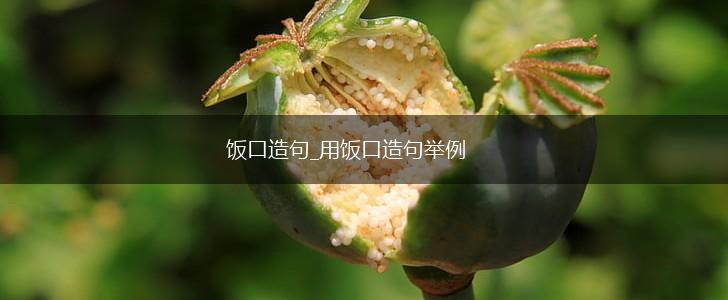 饭口造句_用饭口造句举例,第1张