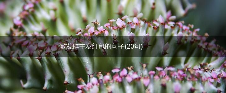 激发群主发红包的句子(20句),第1张