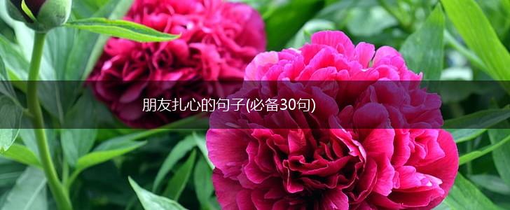朋友扎心的句子(必备30句),第1张
