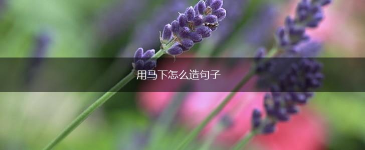 用马下怎么造句子,第1张 用马下怎么造句子,第1张