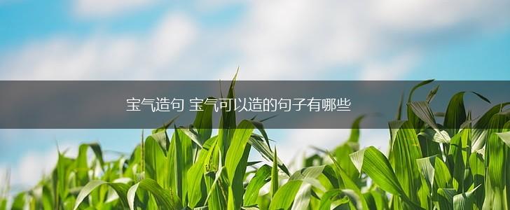 宝气造句 宝气可以造的句子有哪些,第1张