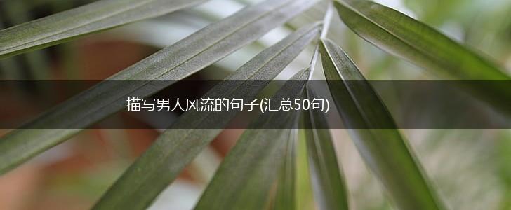 描写男人风流的句子(汇总50句),第1张