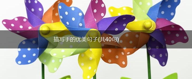 描写手的优美句子(共40句),第1张