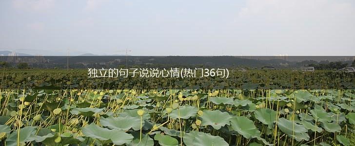独立的句子说说心情(热门36句),第1张