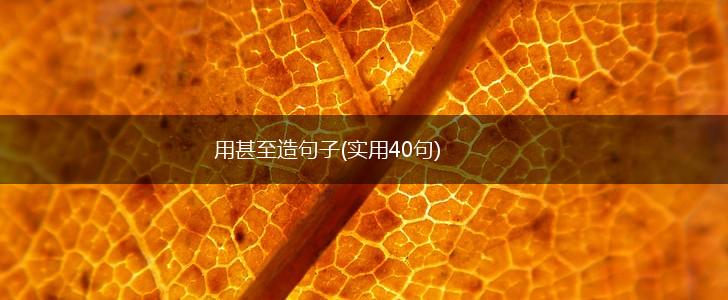 用甚至造句子(实用40句),第1张