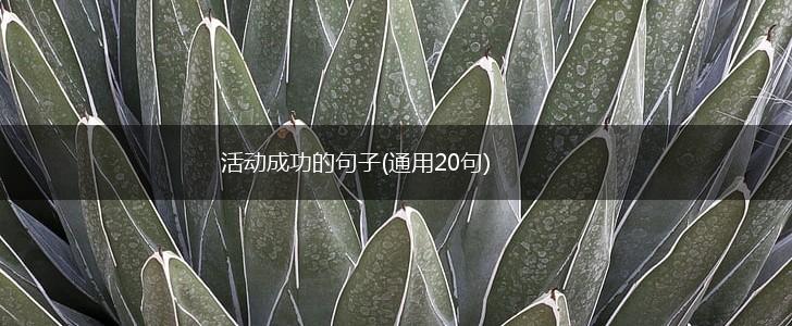 活动成功的句子(通用20句),第1张