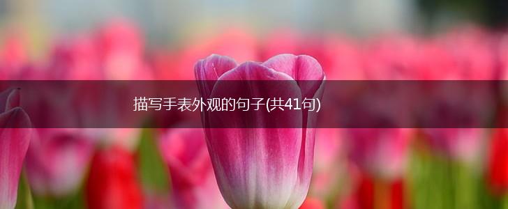 描写手表外观的句子(共41句),第1张