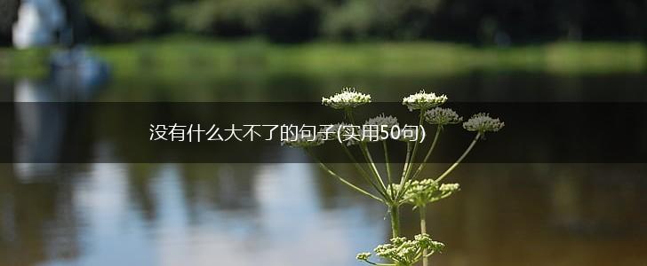 没有什么大不了的句子(实用50句),第1张
