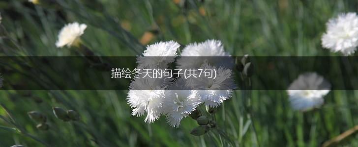 描绘冬天的句子(共7句),第1张
