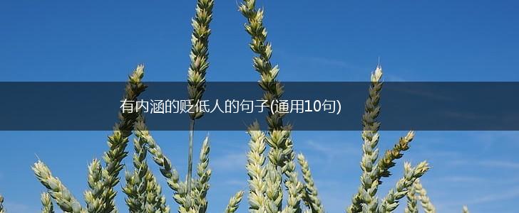 有内涵的贬低人的句子(通用10句),第1张