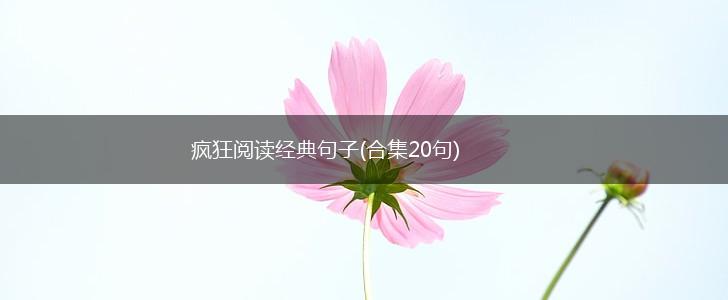 疯狂阅读经典句子(合集20句),第1张