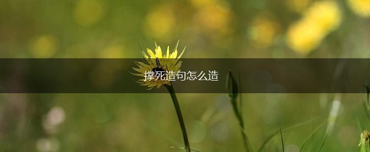 撑死造句怎么造,第1张
