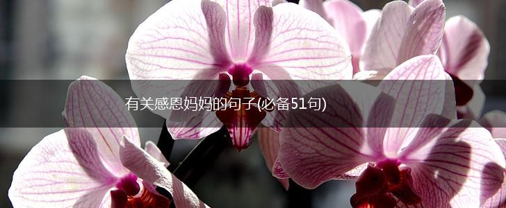 有关感恩妈妈的句子(必备51句),第1张